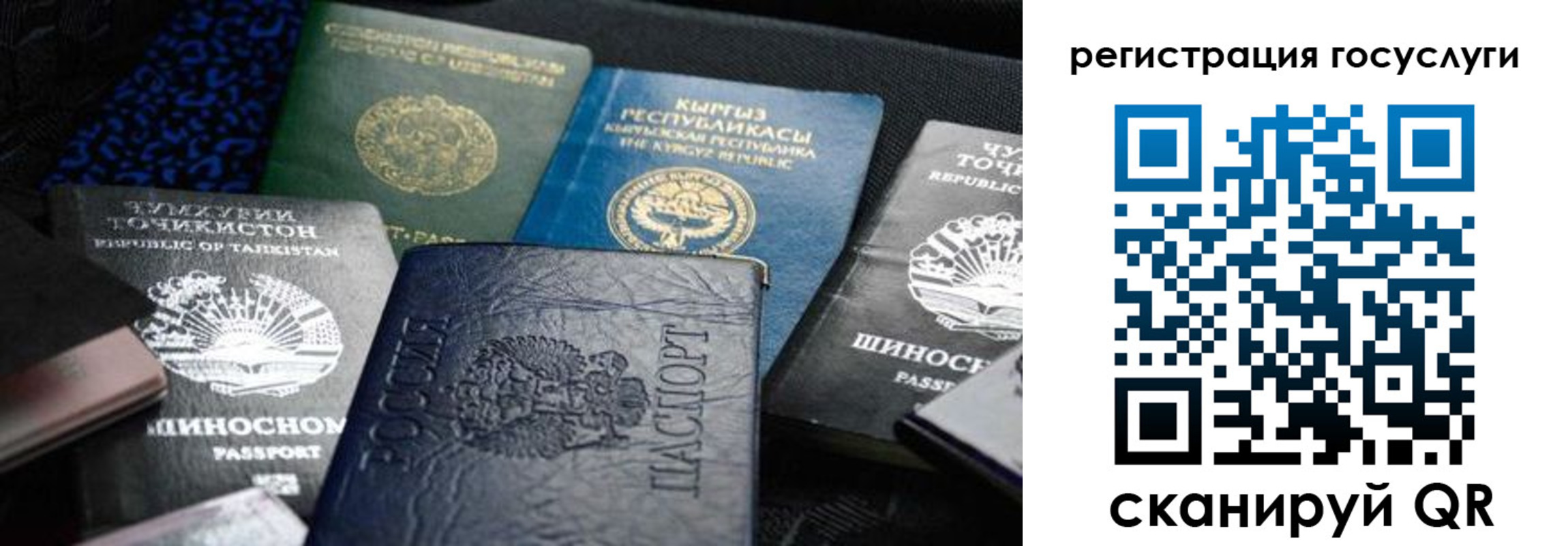 прописка ребенка в Дедовске
